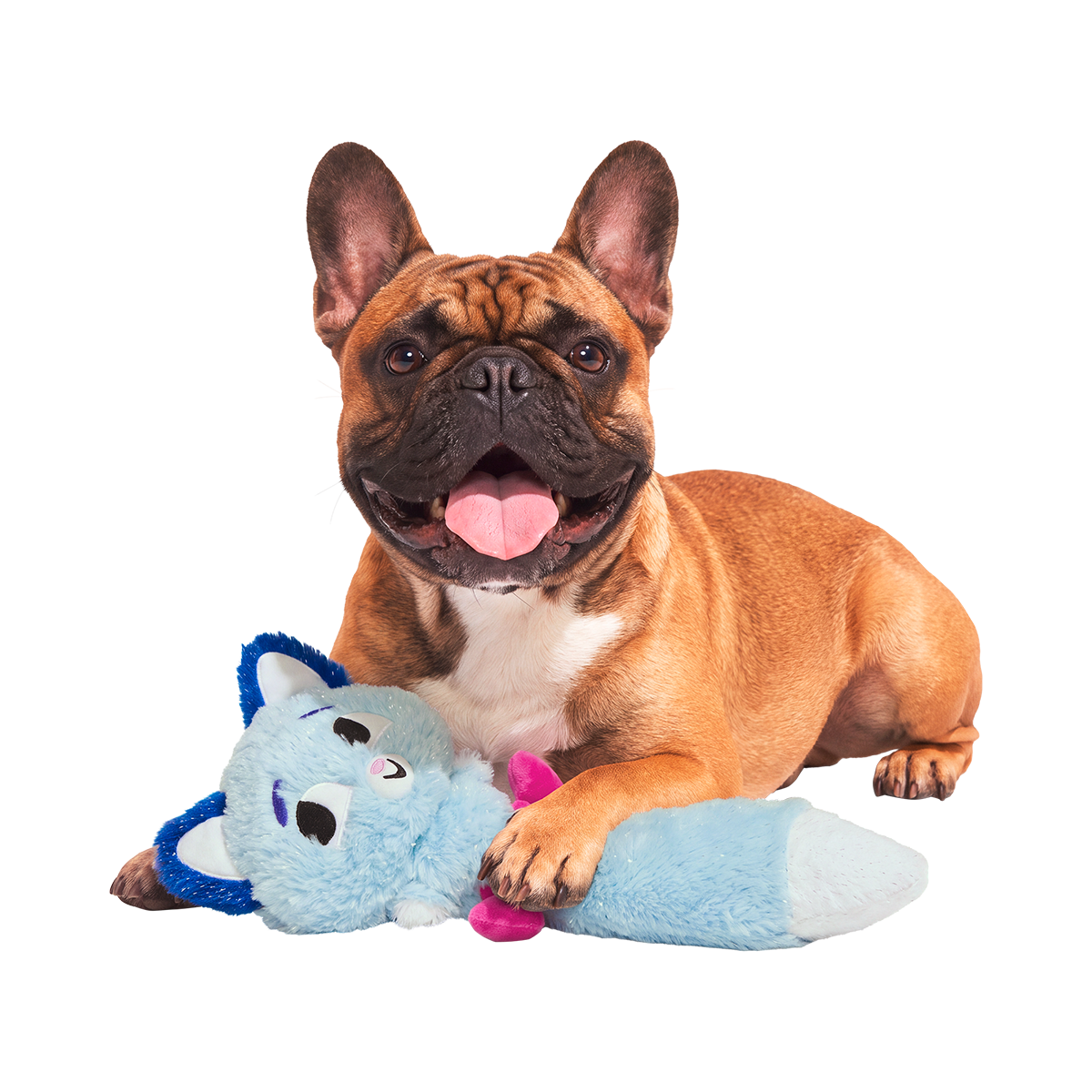 Stone Cold Knox Plush Extra-Large + Tug Dog Toy