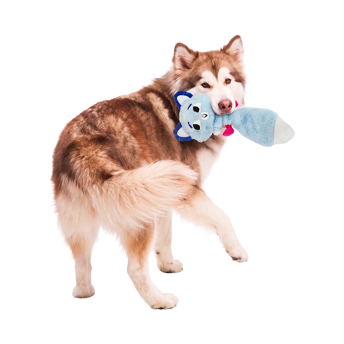 Stone Cold Knox Plush Extra-Large + Tug Dog Toy
