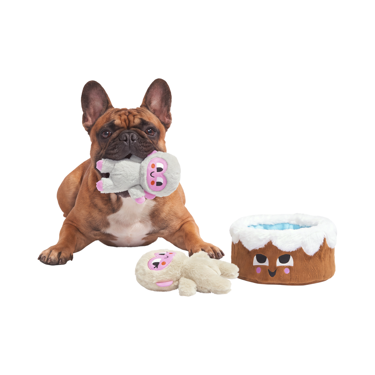 Glub & Grub Plush Multi-Part + Enrichment Dog Toy