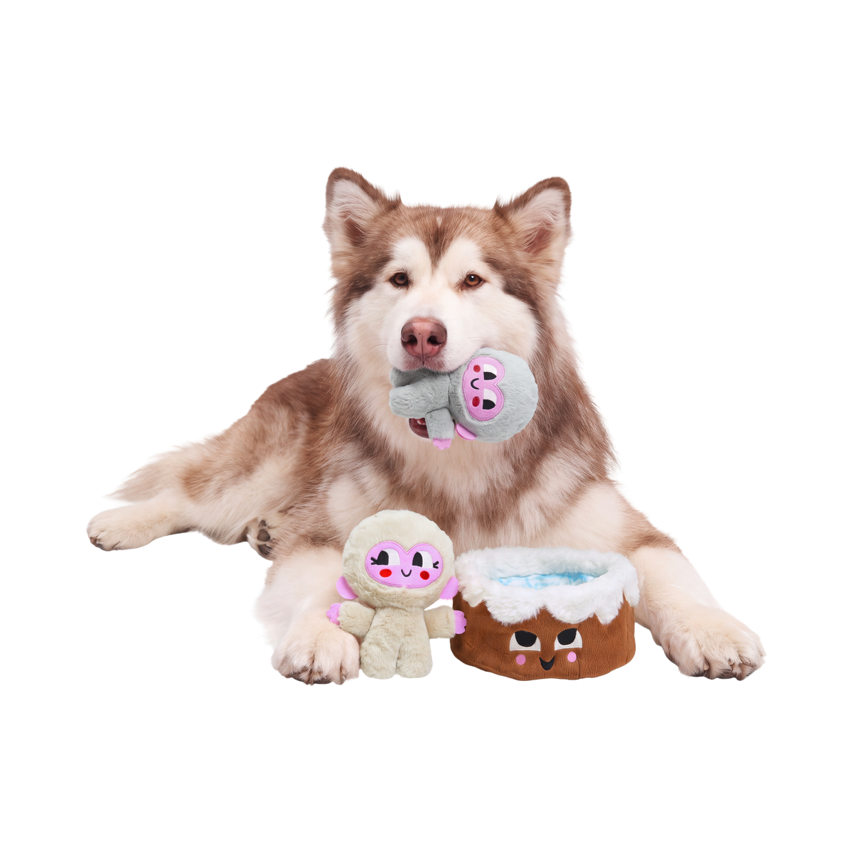 Glub & Grub Plush Multi-Part + Enrichment Dog Toy