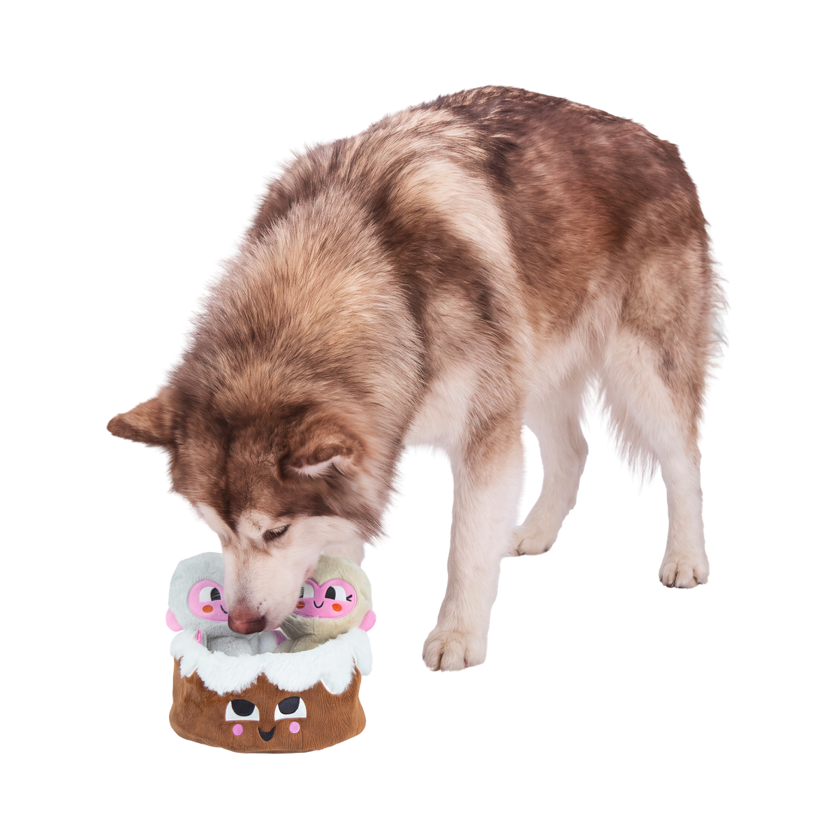 Glub & Grub Plush Multi-Part + Enrichment Dog Toy