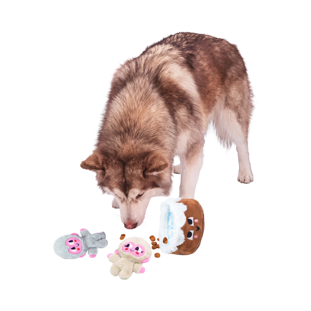 Glub & Grub Plush Multi-Part + Enrichment Dog Toy