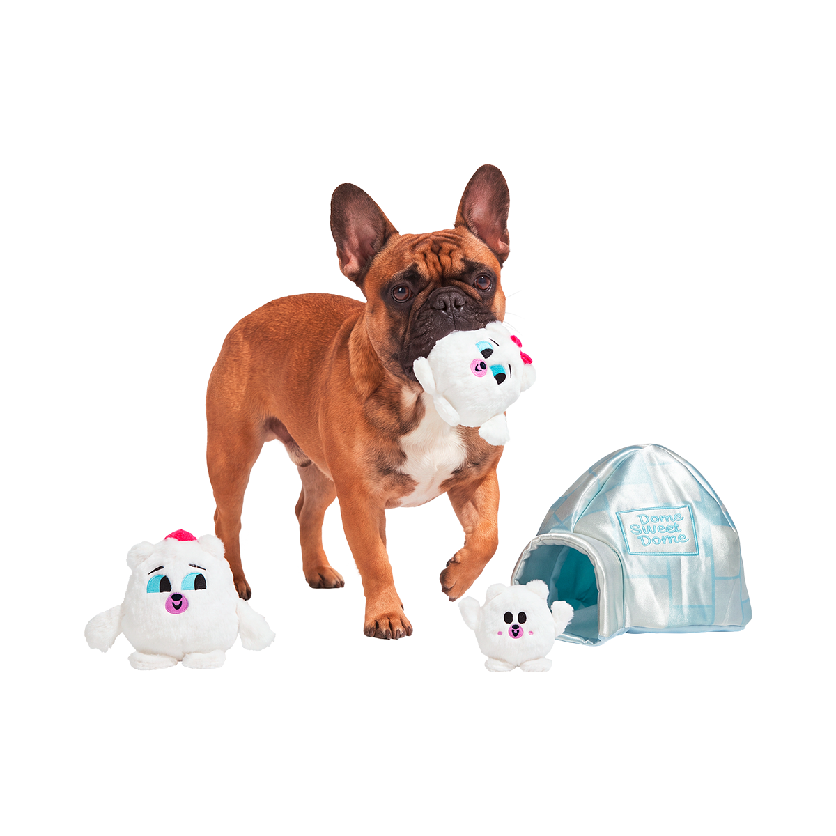 Dome Sweet Dome Plush Multi-Part + Enrichment Dog Toy