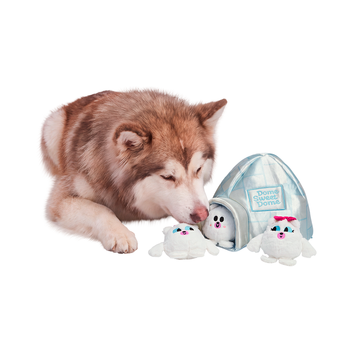 Dome Sweet Dome Plush Multi-Part + Enrichment Dog Toy