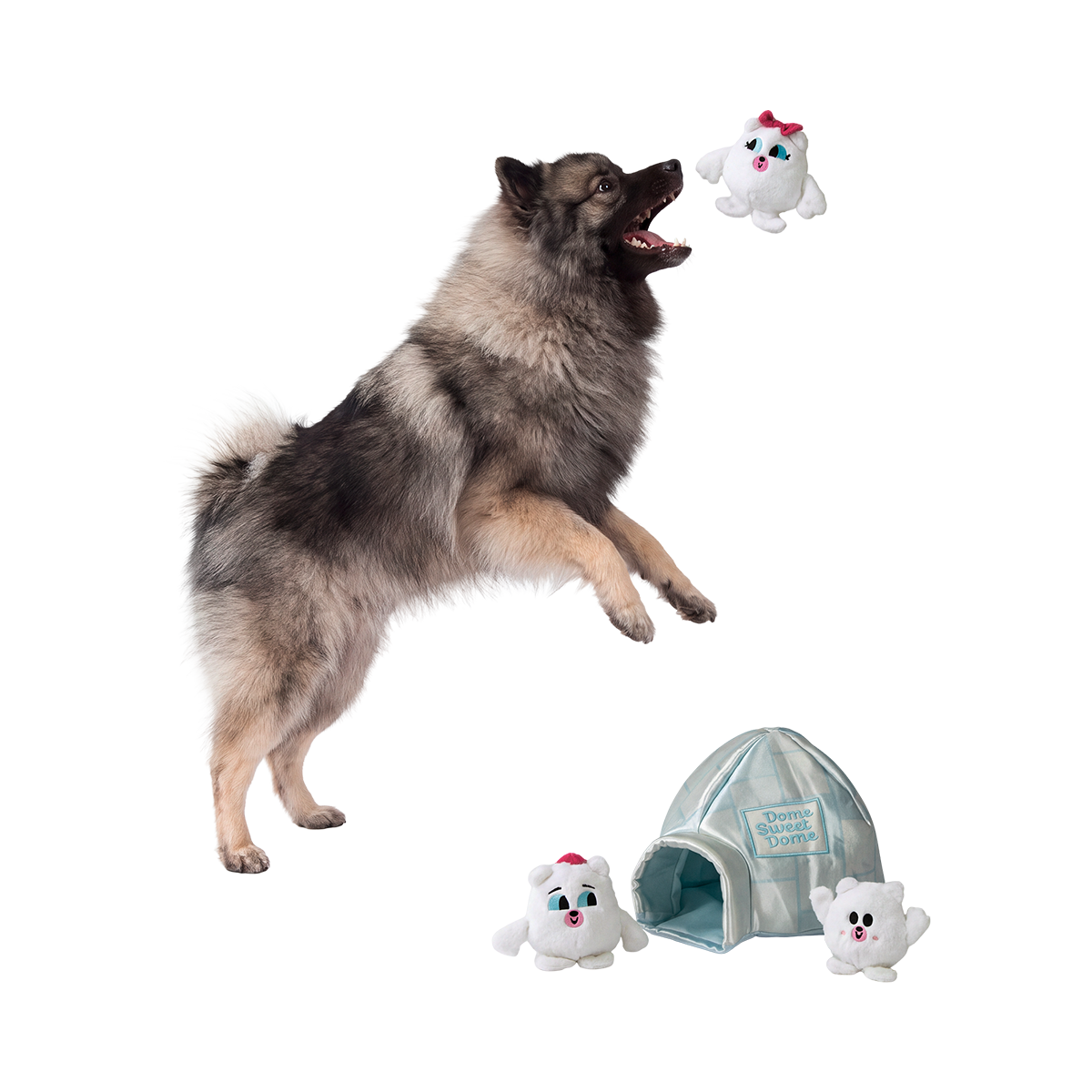 Dome Sweet Dome Plush Multi-Part + Enrichment Dog Toy