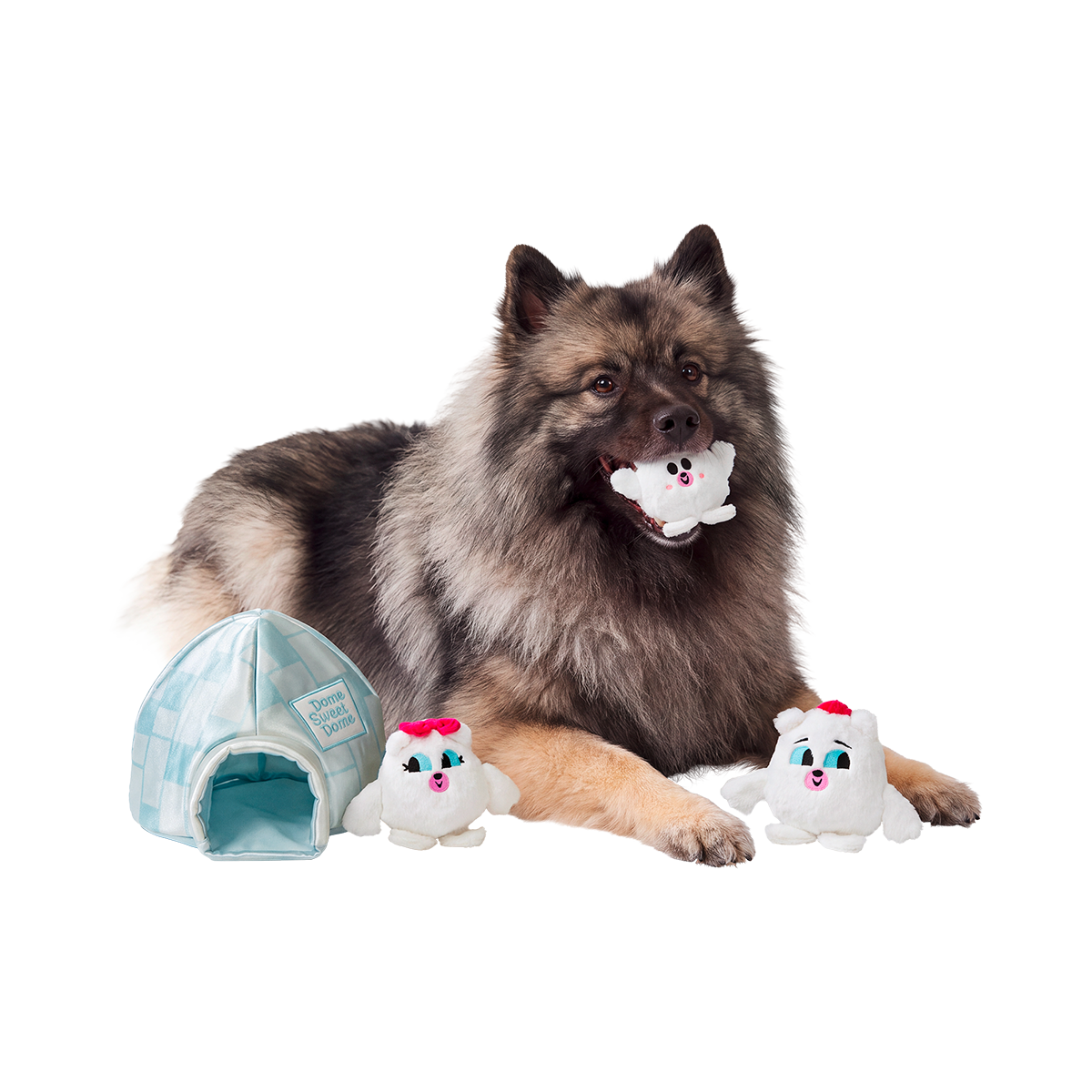 Dome Sweet Dome Plush Multi-Part + Enrichment Dog Toy