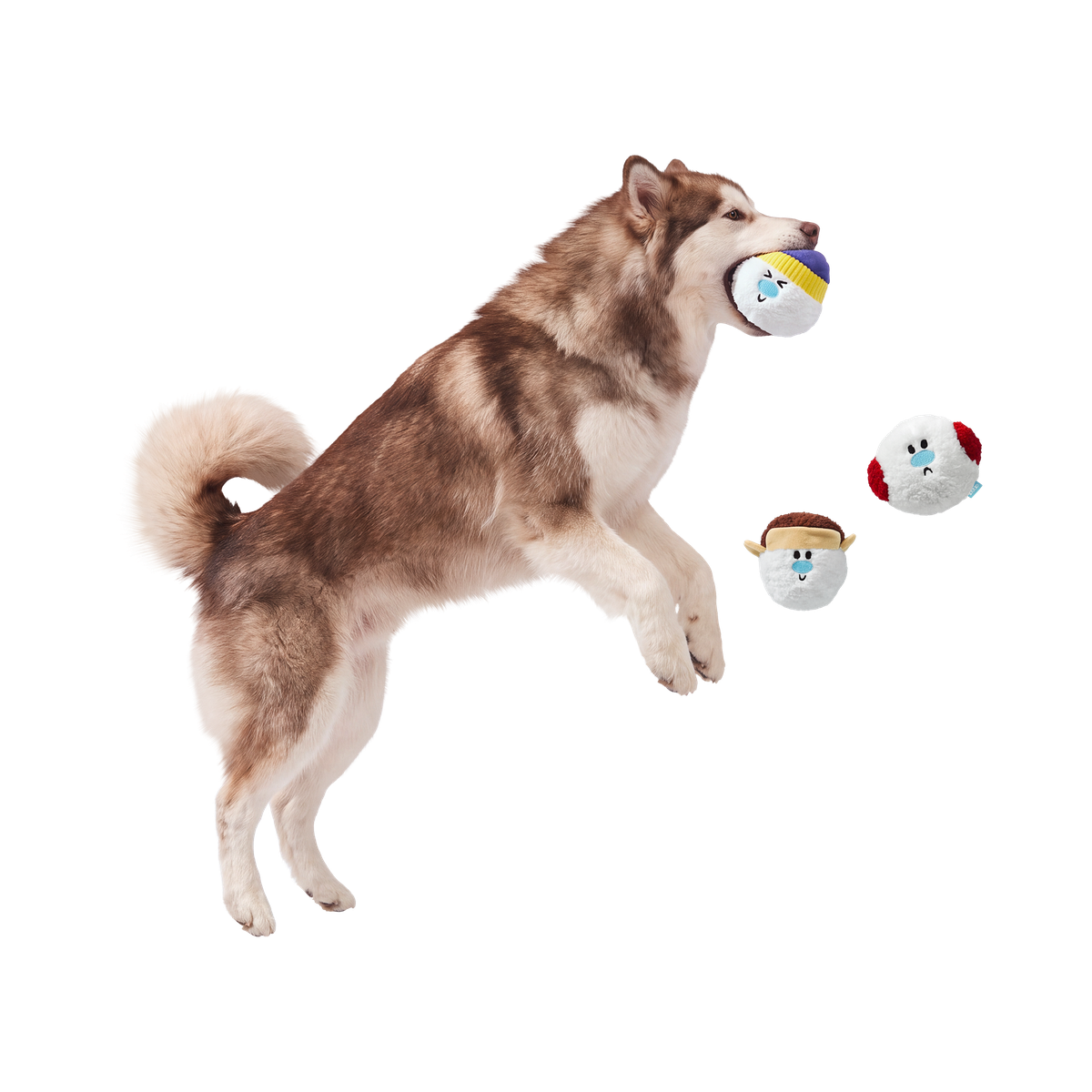 Ice Ice & Baby Plush Multi-Part + Fetch Dog Toy