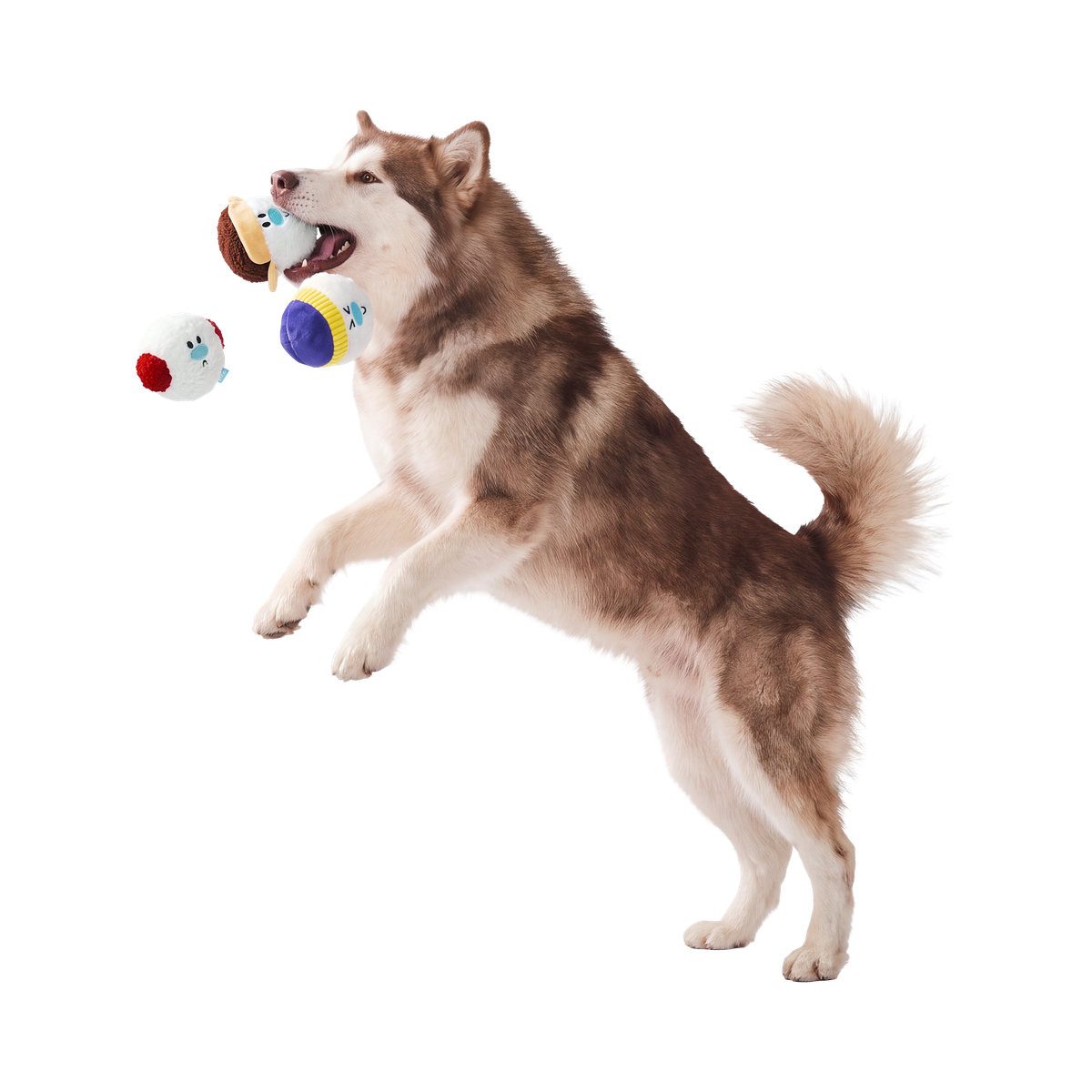 Ice Ice & Baby Plush Multi-Part + Fetch Dog Toy