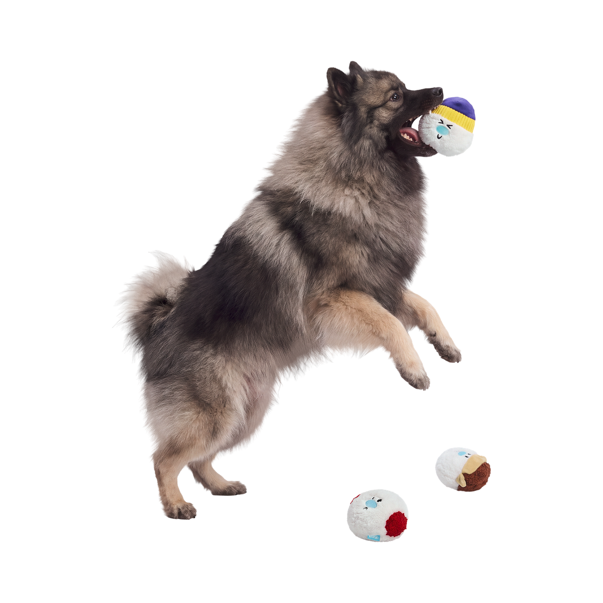 Ice Ice & Baby Plush Multi-Part + Fetch Dog Toy