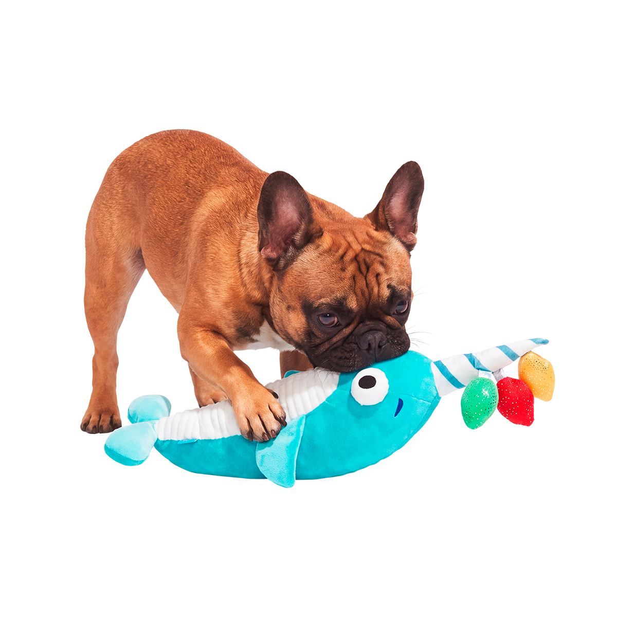 Deck The Whal Plush Extra-Large + Tug Dog Toy