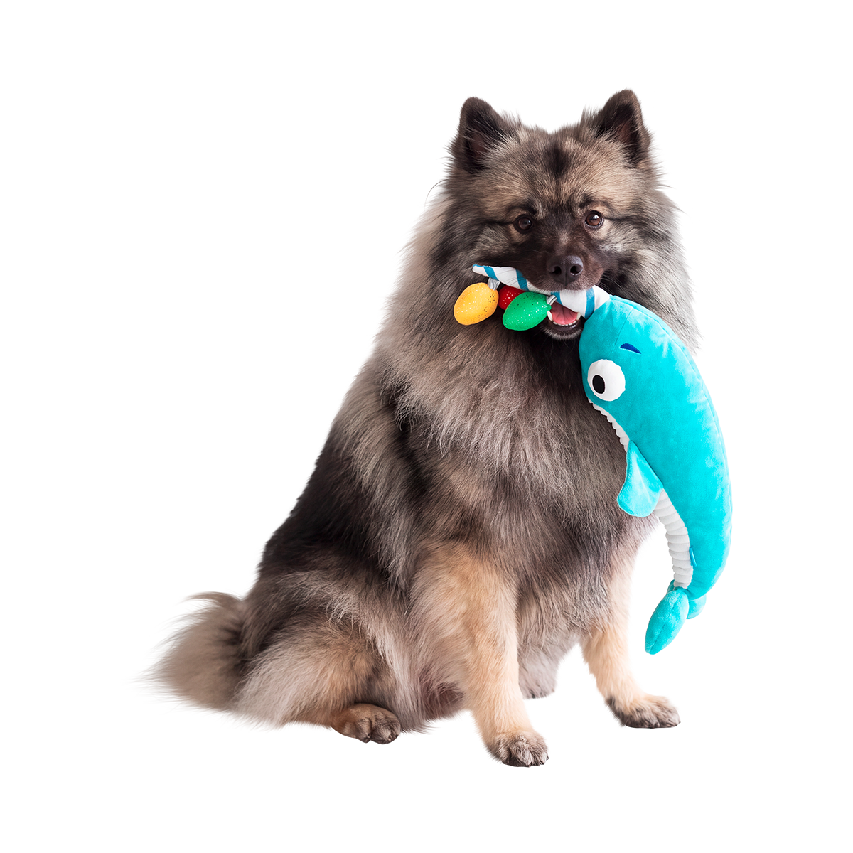 Deck The Whal Plush Extra-Large + Tug Dog Toy