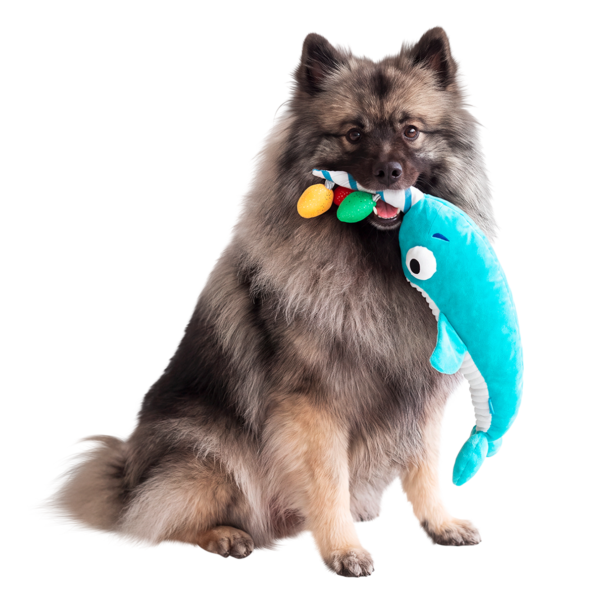 Deck The Whal Plush Extra-Large + Tug Dog Toy