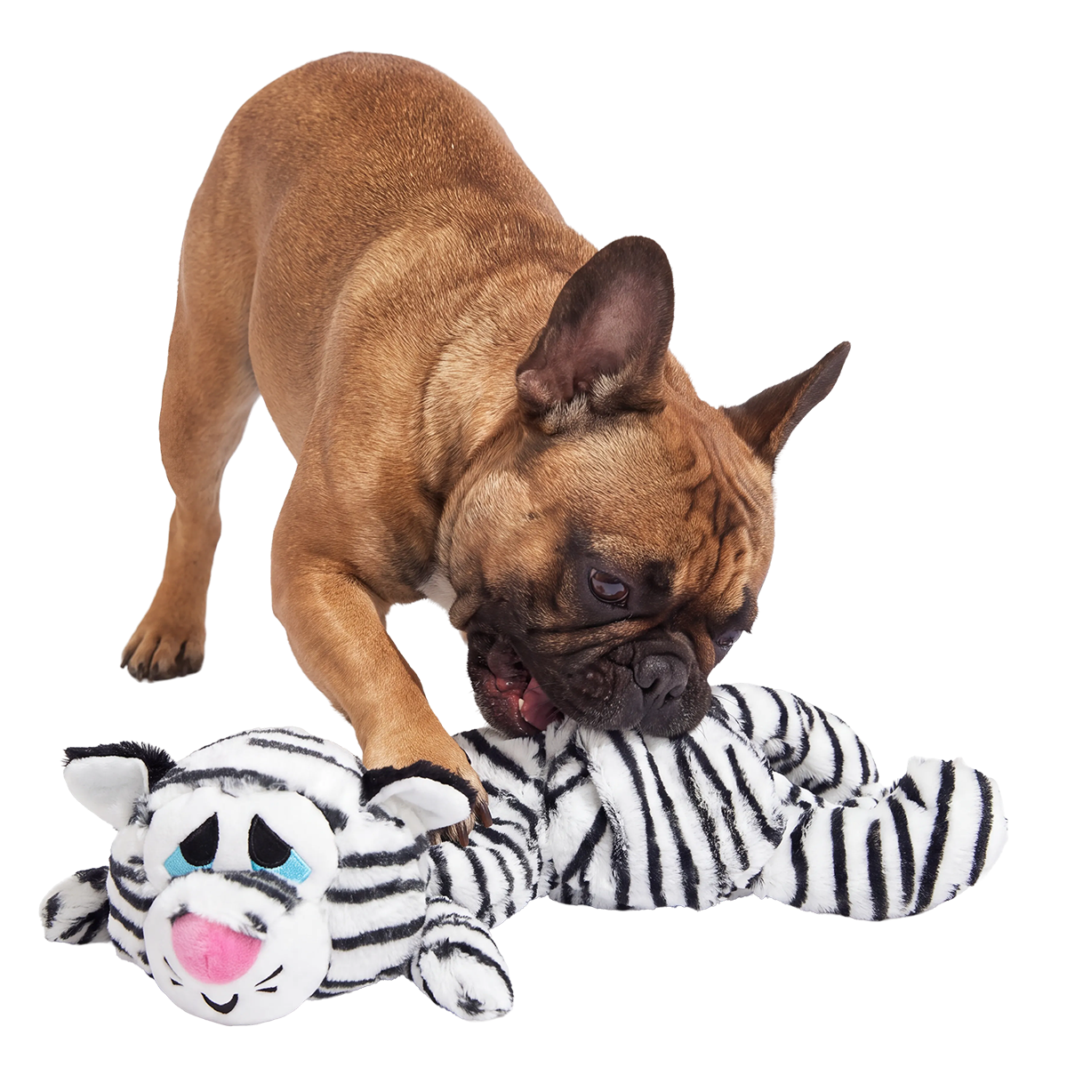 Barktic Benji Plush XXL Tug Dog Toy