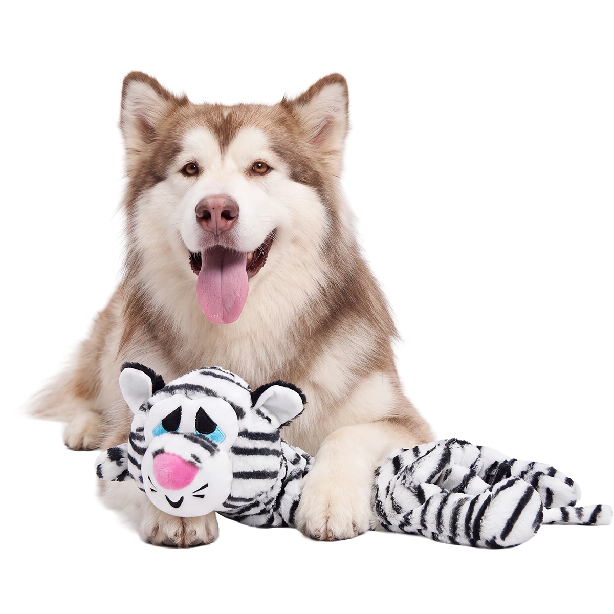 Barktic Benji Plush XXL Tug Dog Toy