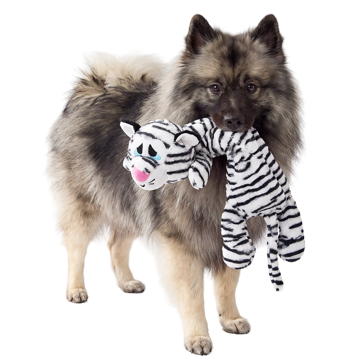 Barktic Benji Plush XXL Tug Dog Toy