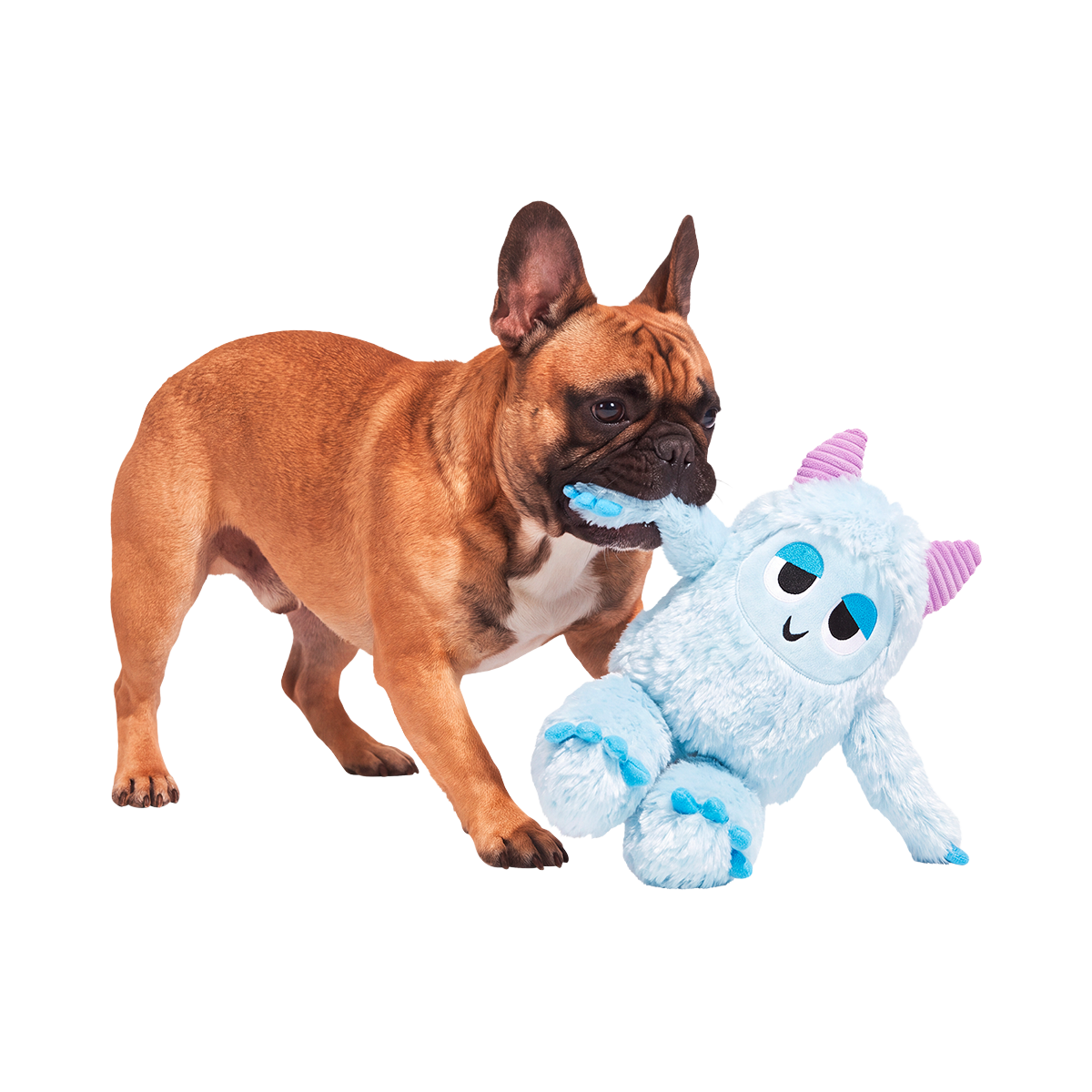 Biggie Teddy Yeti Plush Extra-Large + Tug Dog Toy