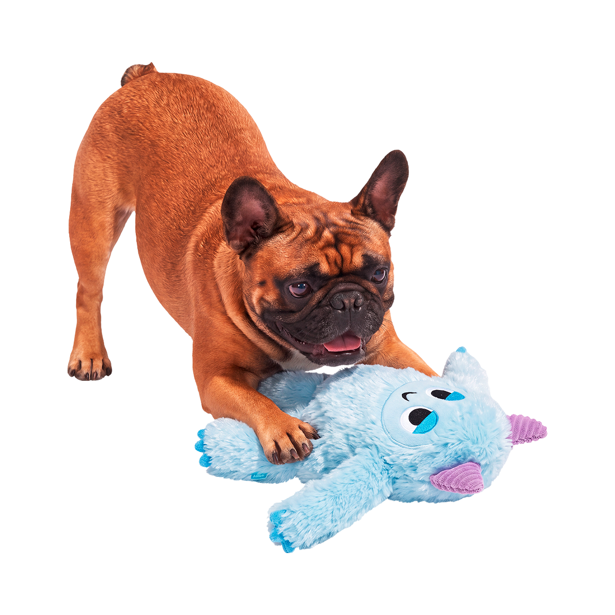 Biggie Teddy Yeti Plush Extra-Large + Tug Dog Toy
