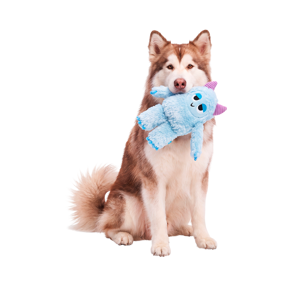Biggie Teddy Yeti Plush Extra-Large + Tug Dog Toy