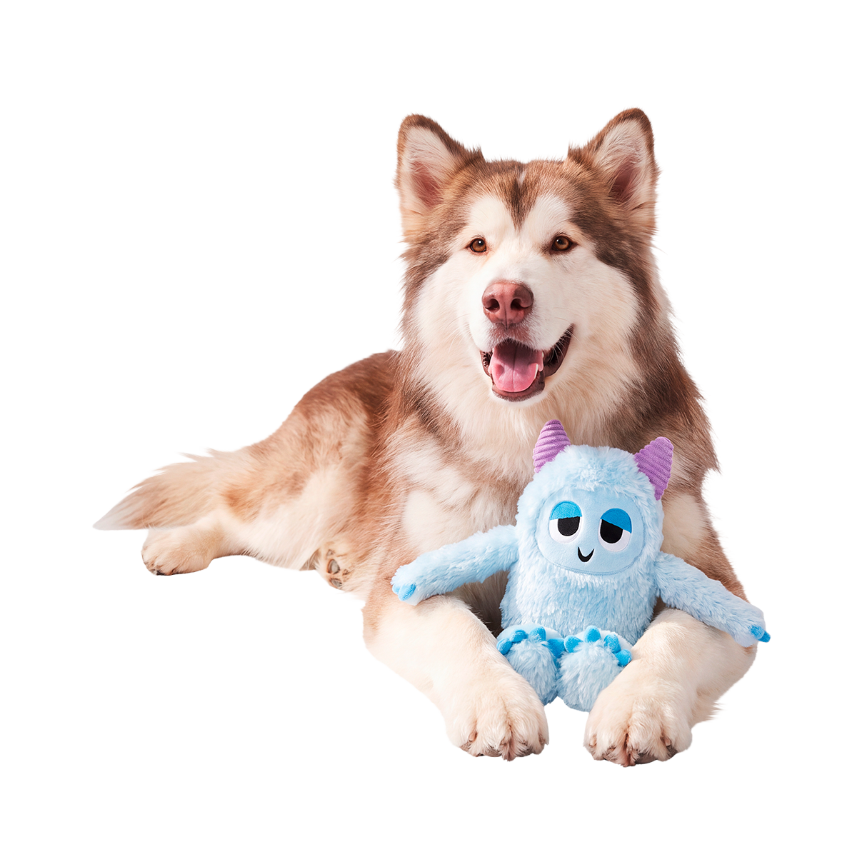 Biggie Teddy Yeti Plush Extra-Large + Tug Dog Toy