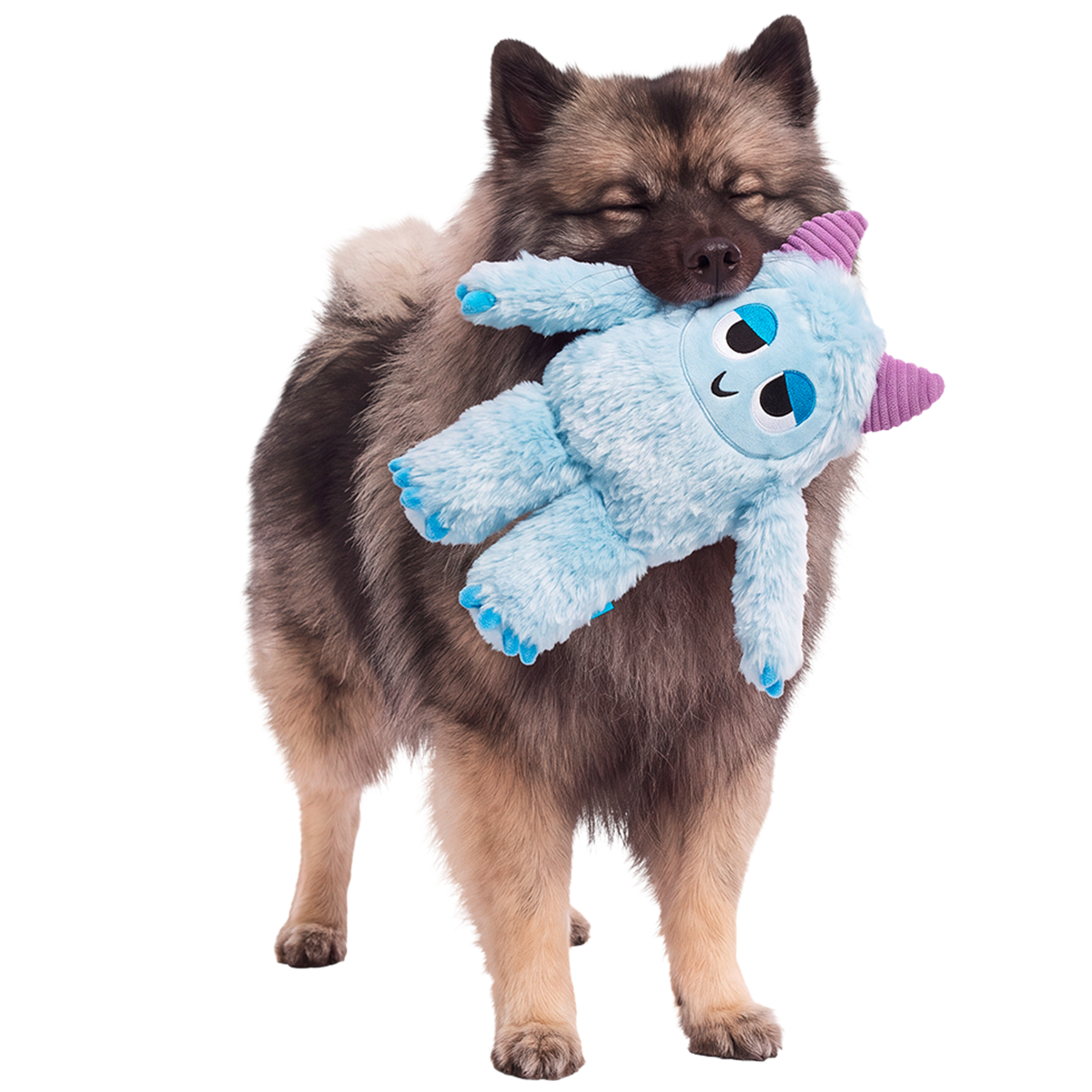 Biggie Teddy Yeti Plush Extra-Large + Tug Dog Toy