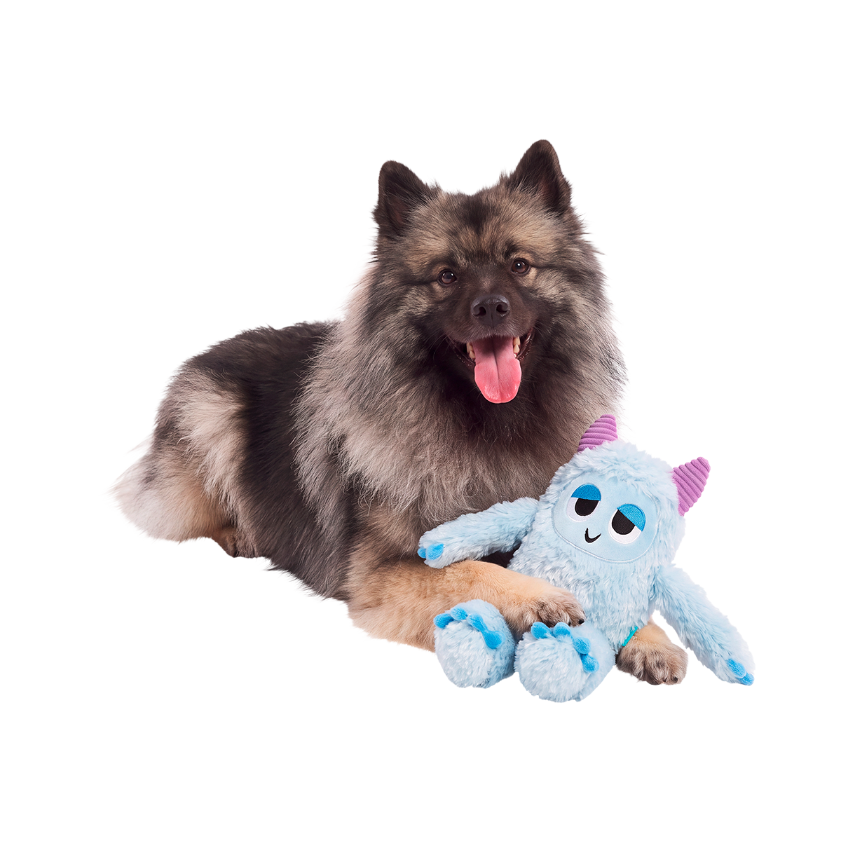 Stone Cold Knox Plush Extra-Large + Tug Dog Toy