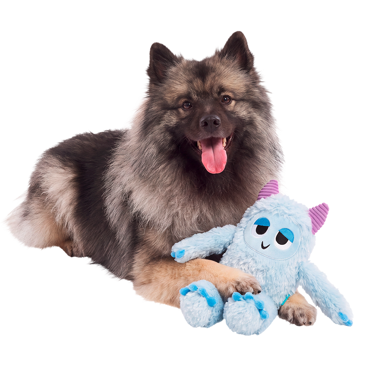 Biggie Teddy Yeti Plush Extra-Large + Tug Dog Toy