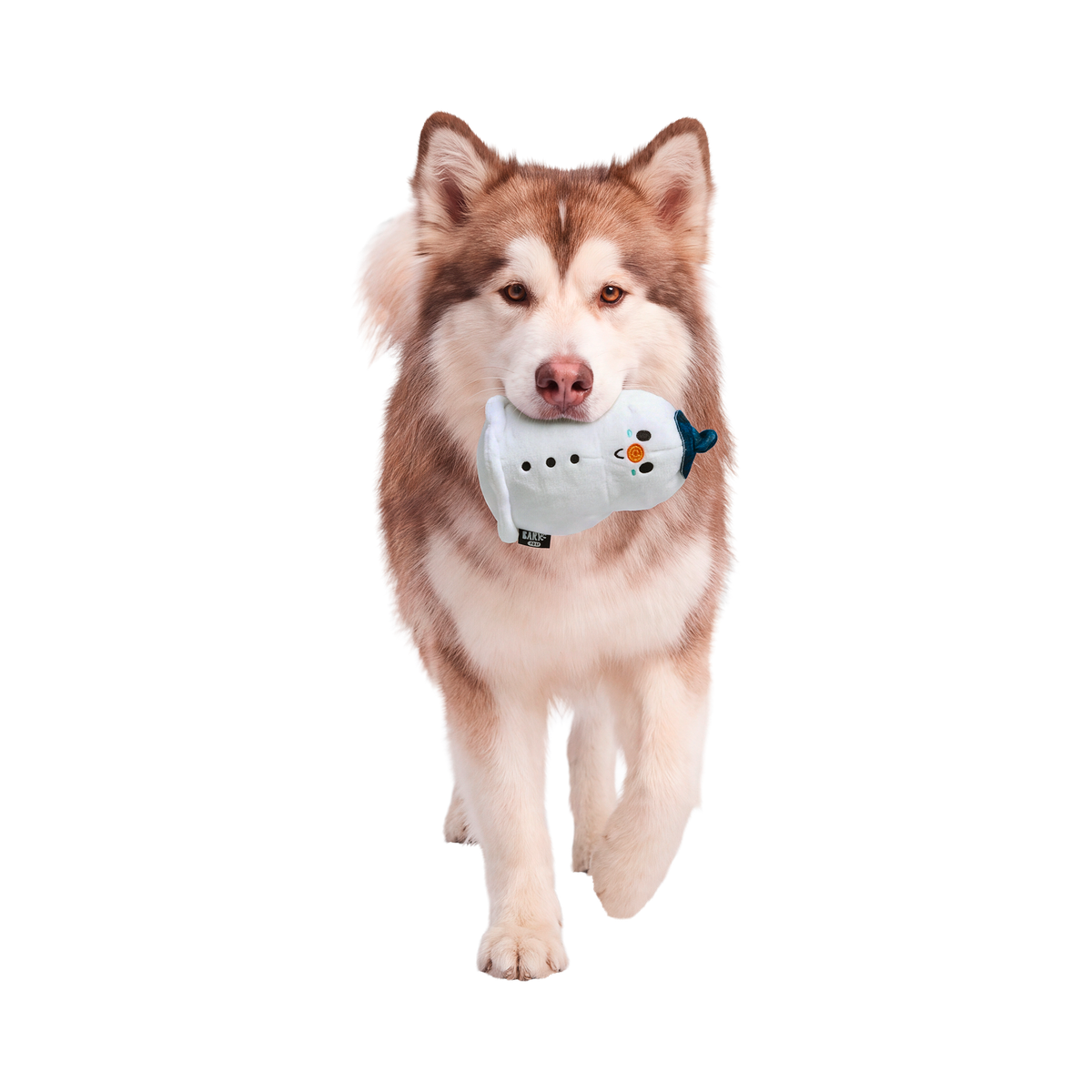 Slushy the Snowman Super Chewer Durable 2-in-1 Dog Toy