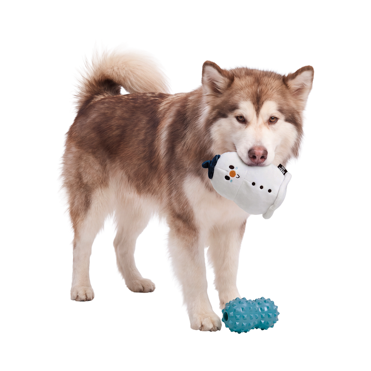 Slushy the Snowman Super Chewer Durable 2-in-1 Dog Toy