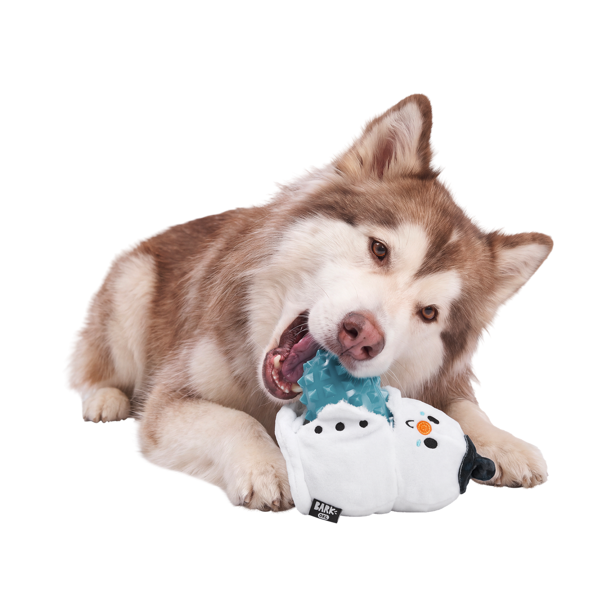 Slushy the Snowman Super Chewer Durable 2-in-1 Dog Toy