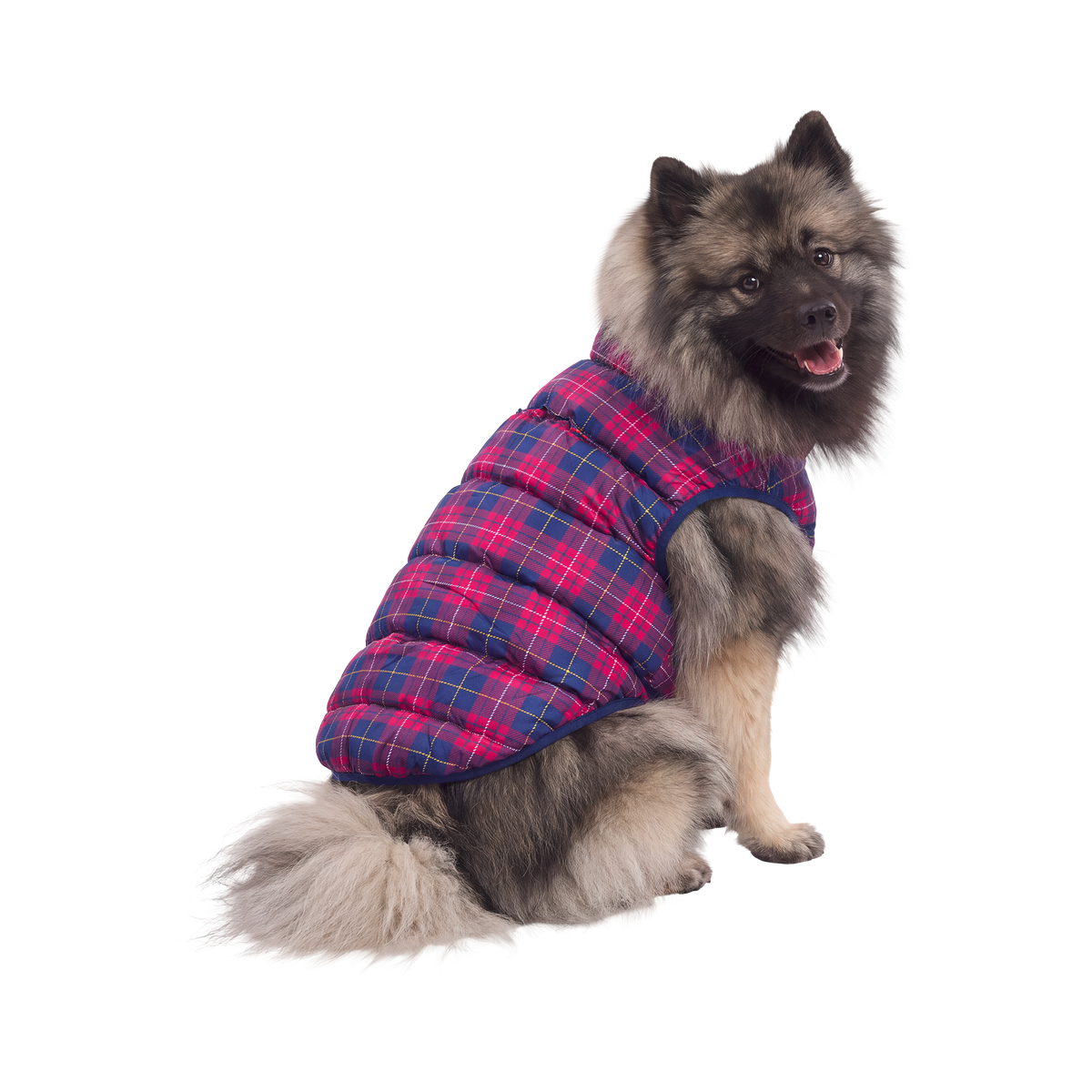 Plaid Dog Puffer#Color_Red