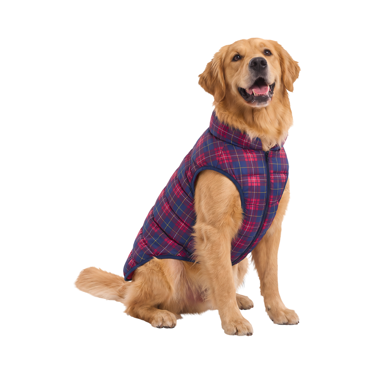 Plaid Dog Puffer#Color_Red