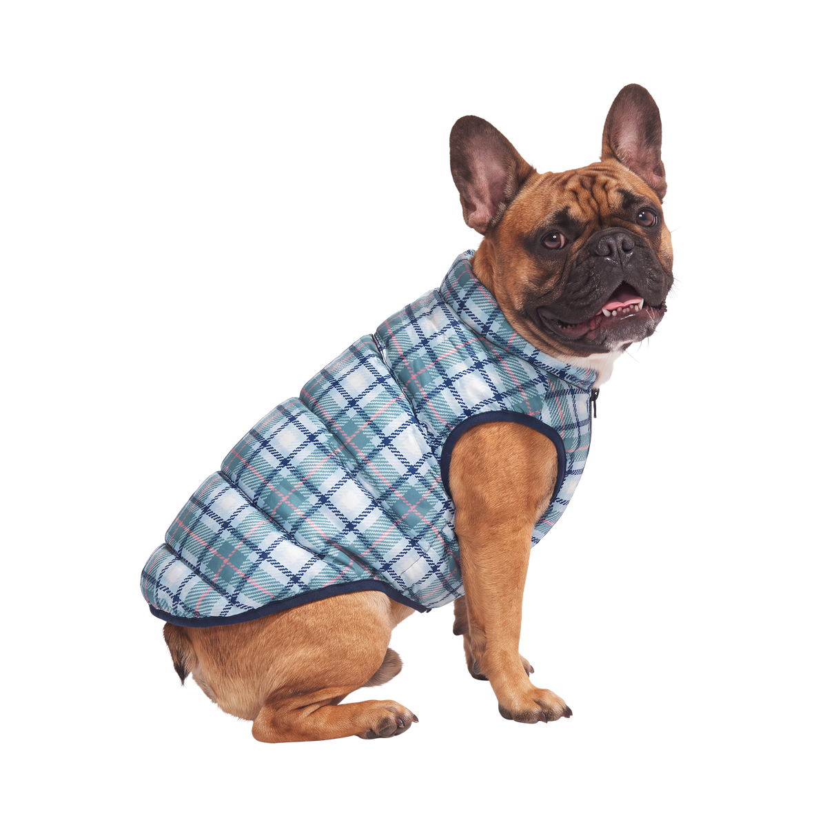 Plaid Dog Puffer#Color_Blue