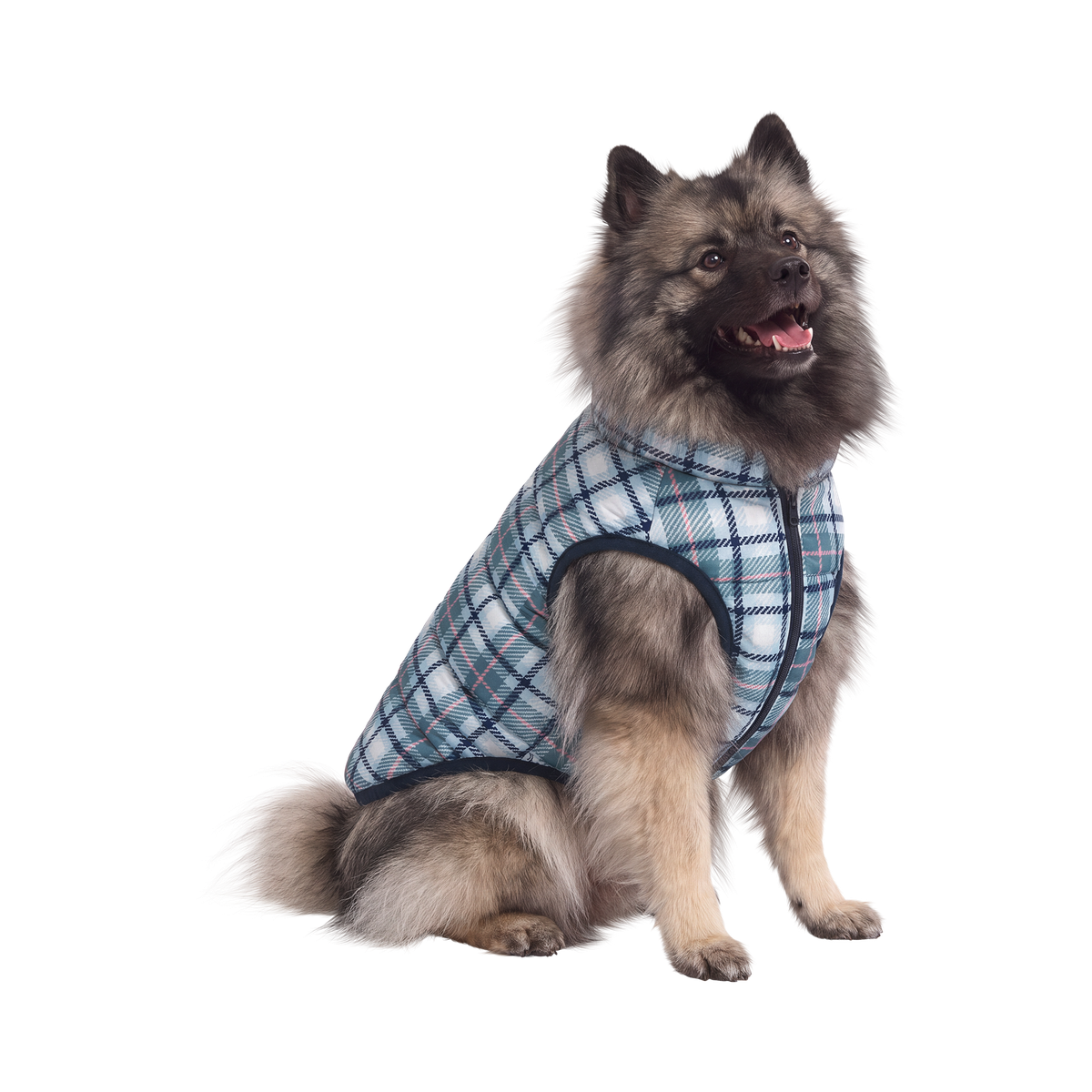 Plaid Dog Puffer#Color_Blue