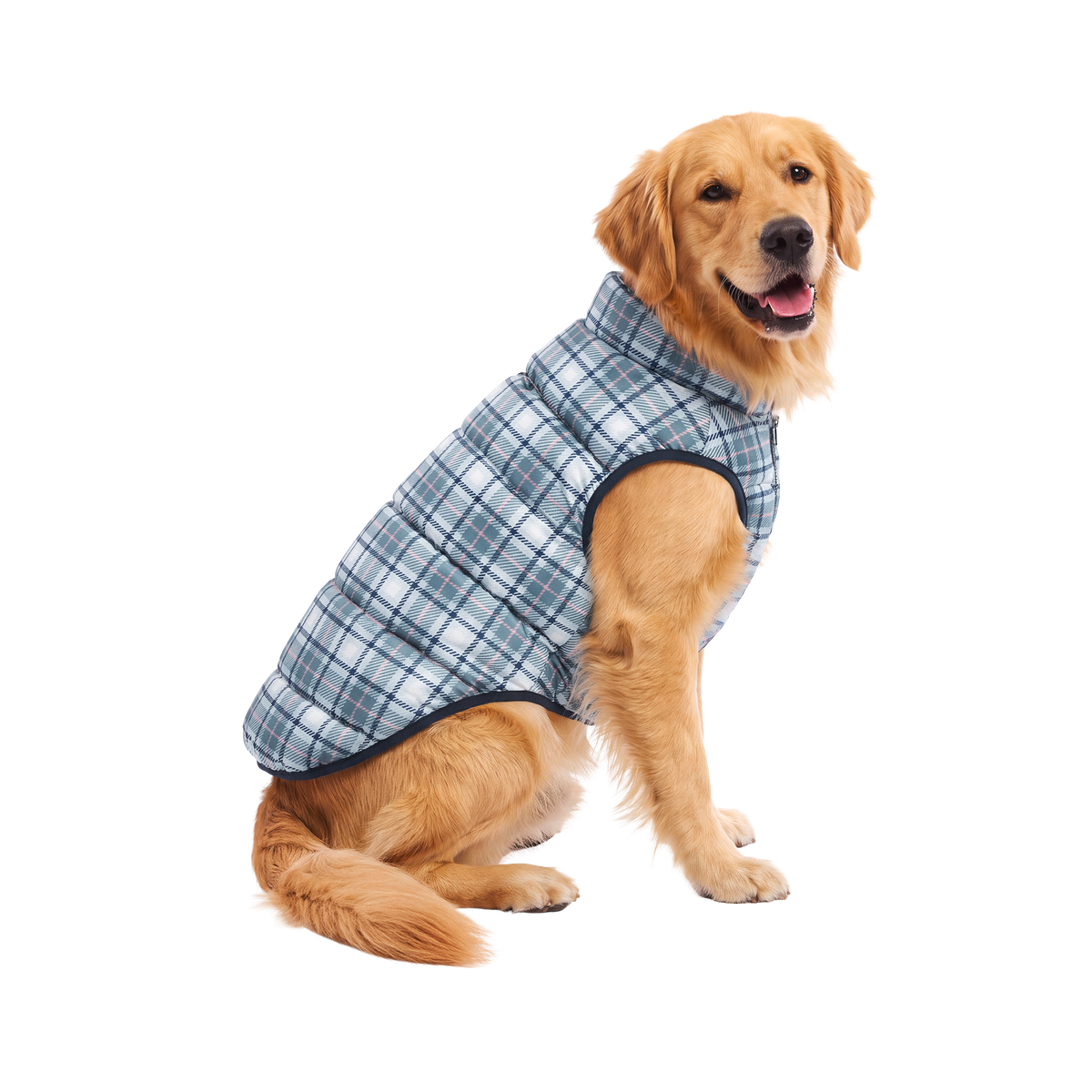 Plaid Dog Puffer#Color_Blue