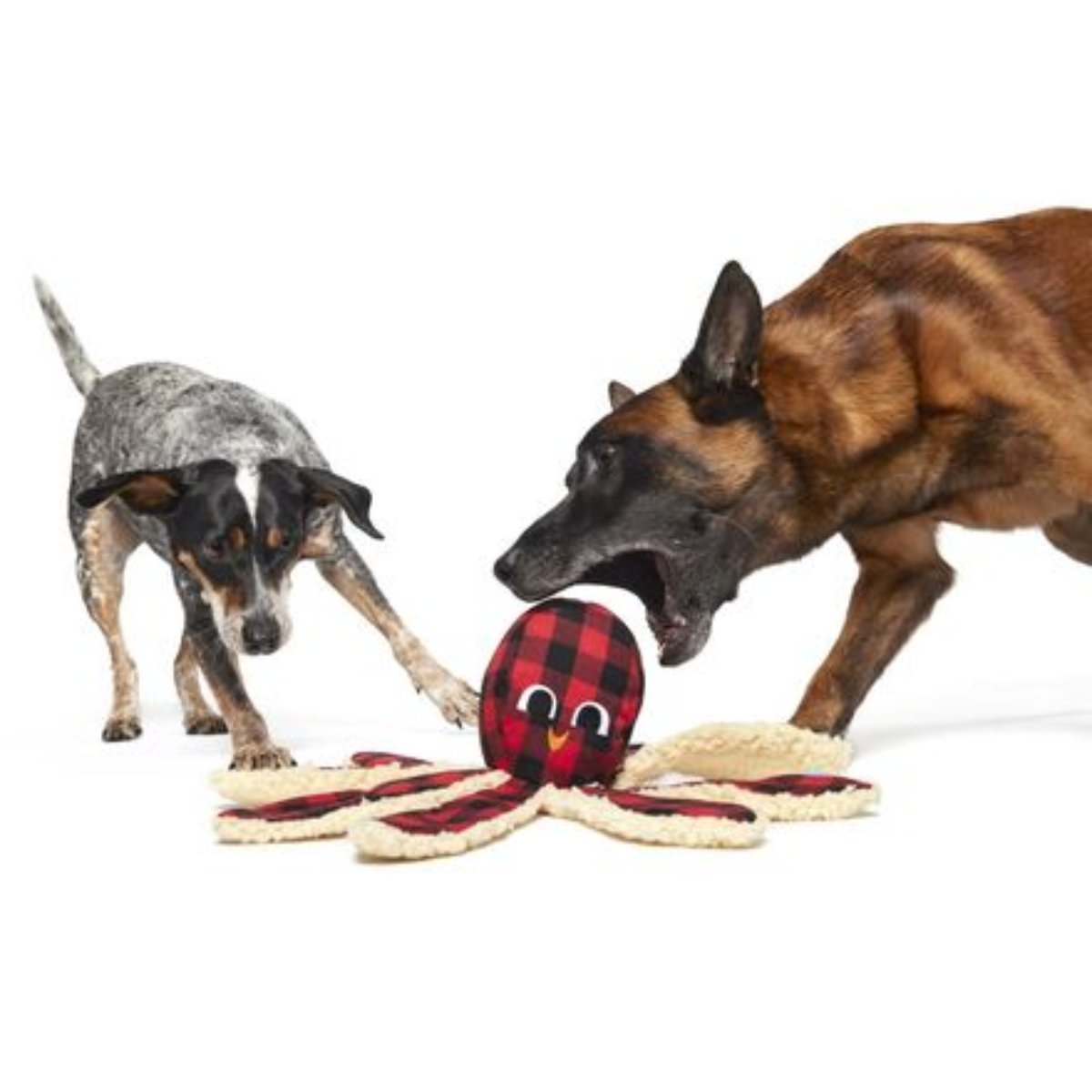 Plaid Party Plush Dog Toy & Treat Holiday Gift Box