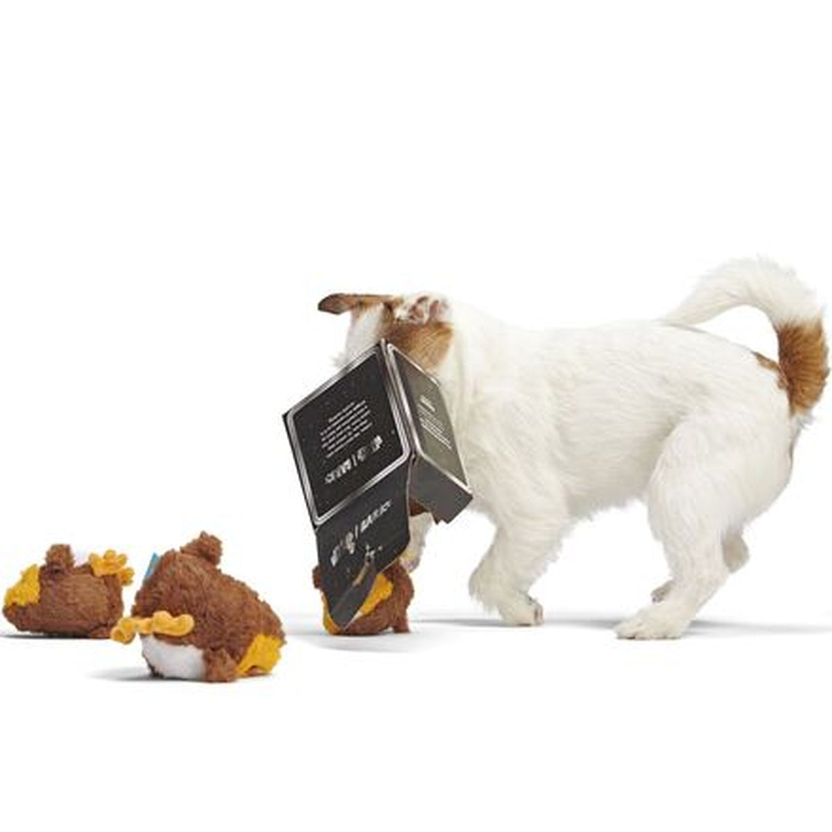 Star Wars™ Creature Club