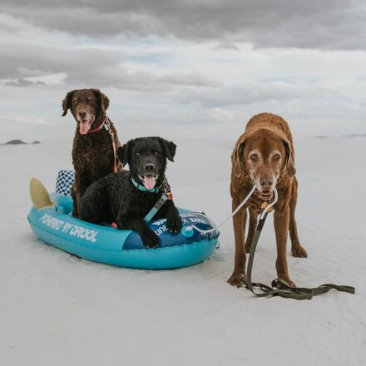 2491b797521ab750f53282a16572c5c21cb6ee4c#Style_Blue Rocket