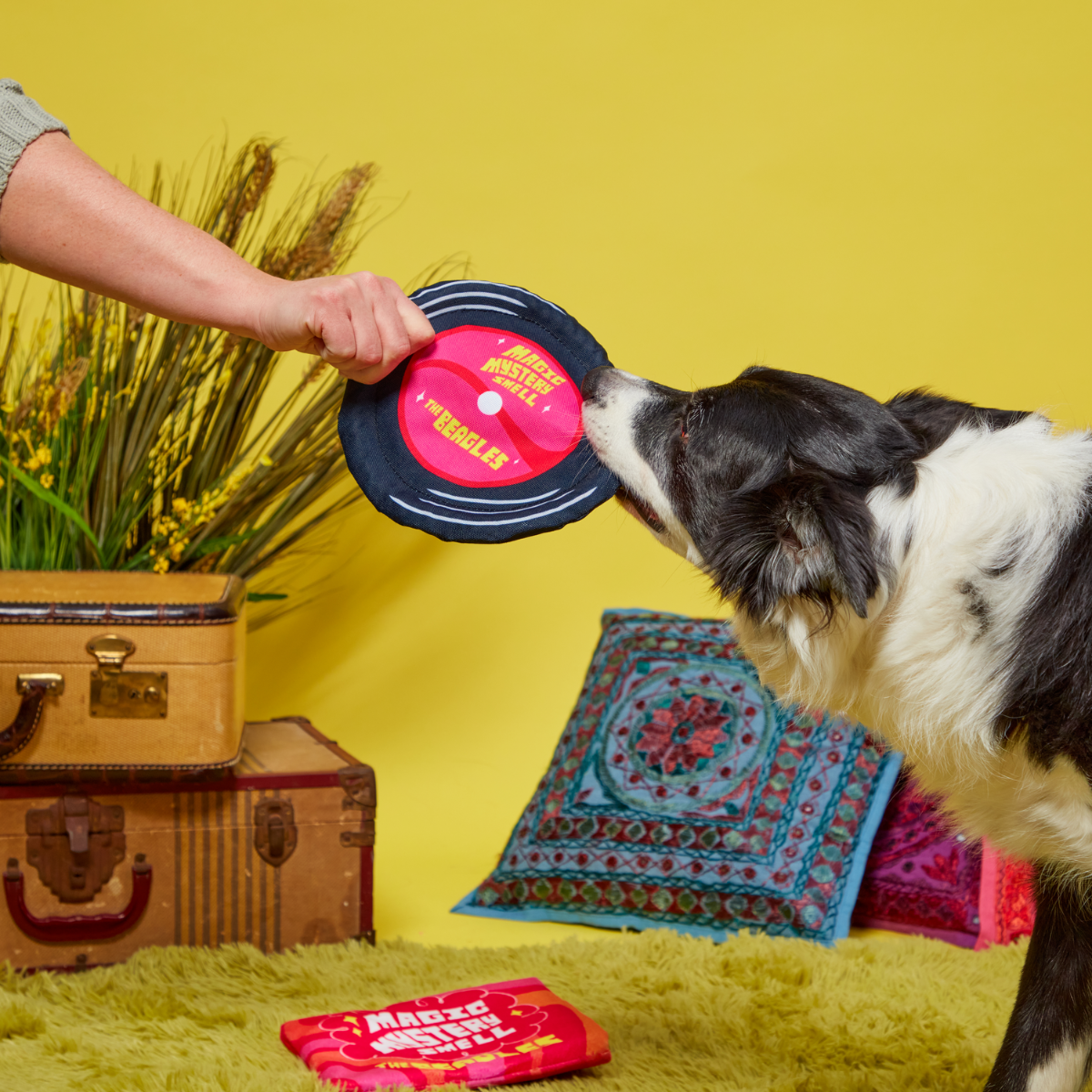 Squeakadelic Tunes Plush Multi-Part Dog Toy