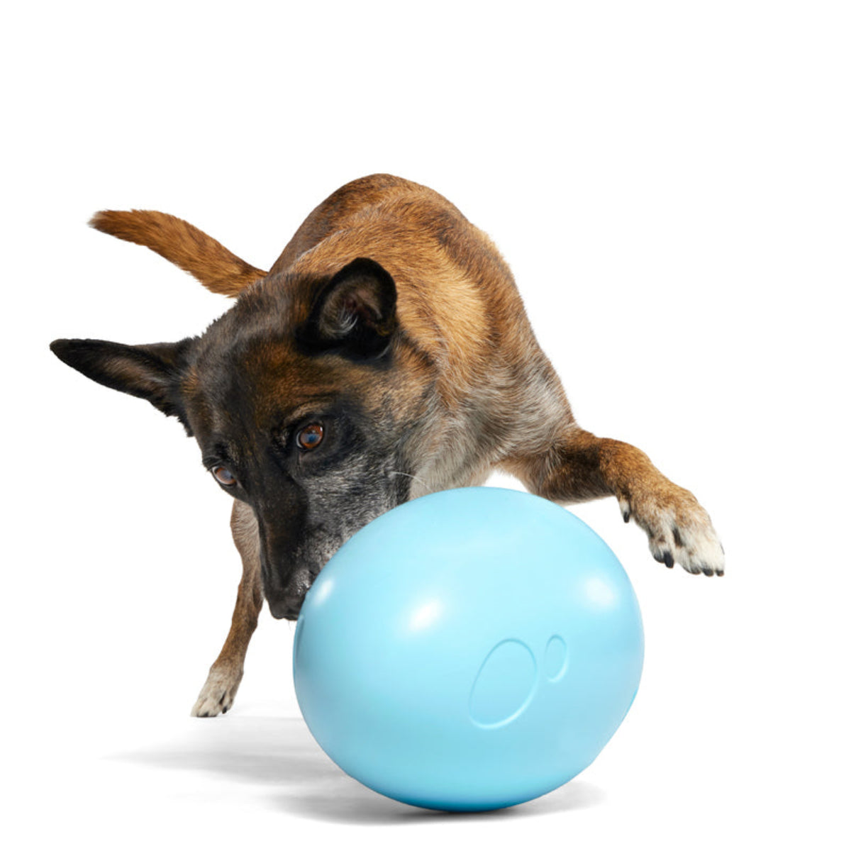 Eggstra Large Easter Egg