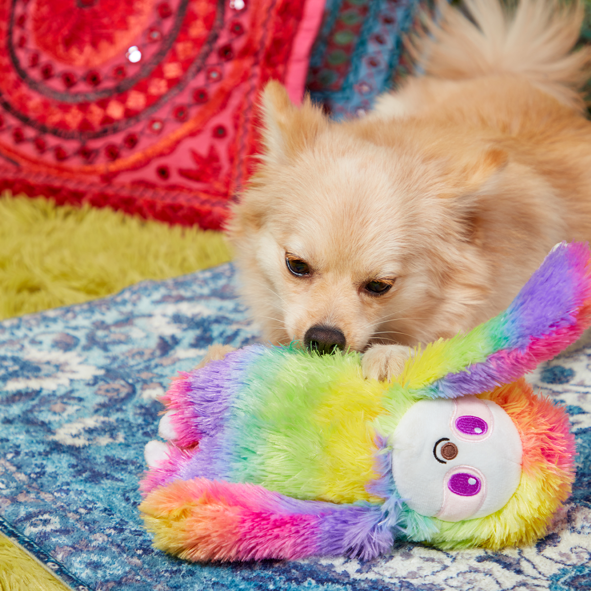 Hairy Garcia Plush Tug Dog Toy