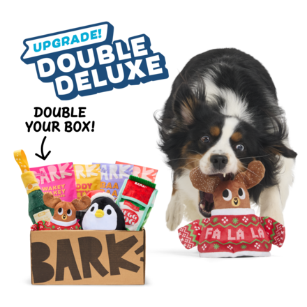 BarkBox Double Deluxe Upgrade