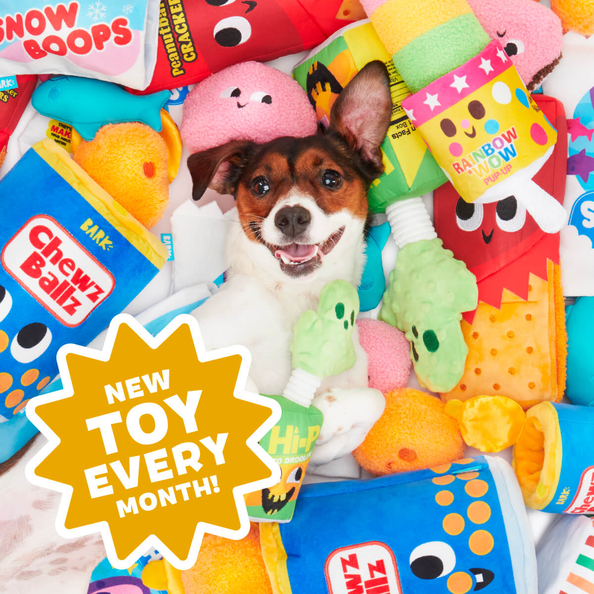 How Many Toys Come in Barkbox: Unbox the Fun!