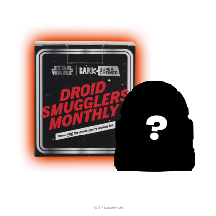 Star Wars™ Droid - R2-D2™