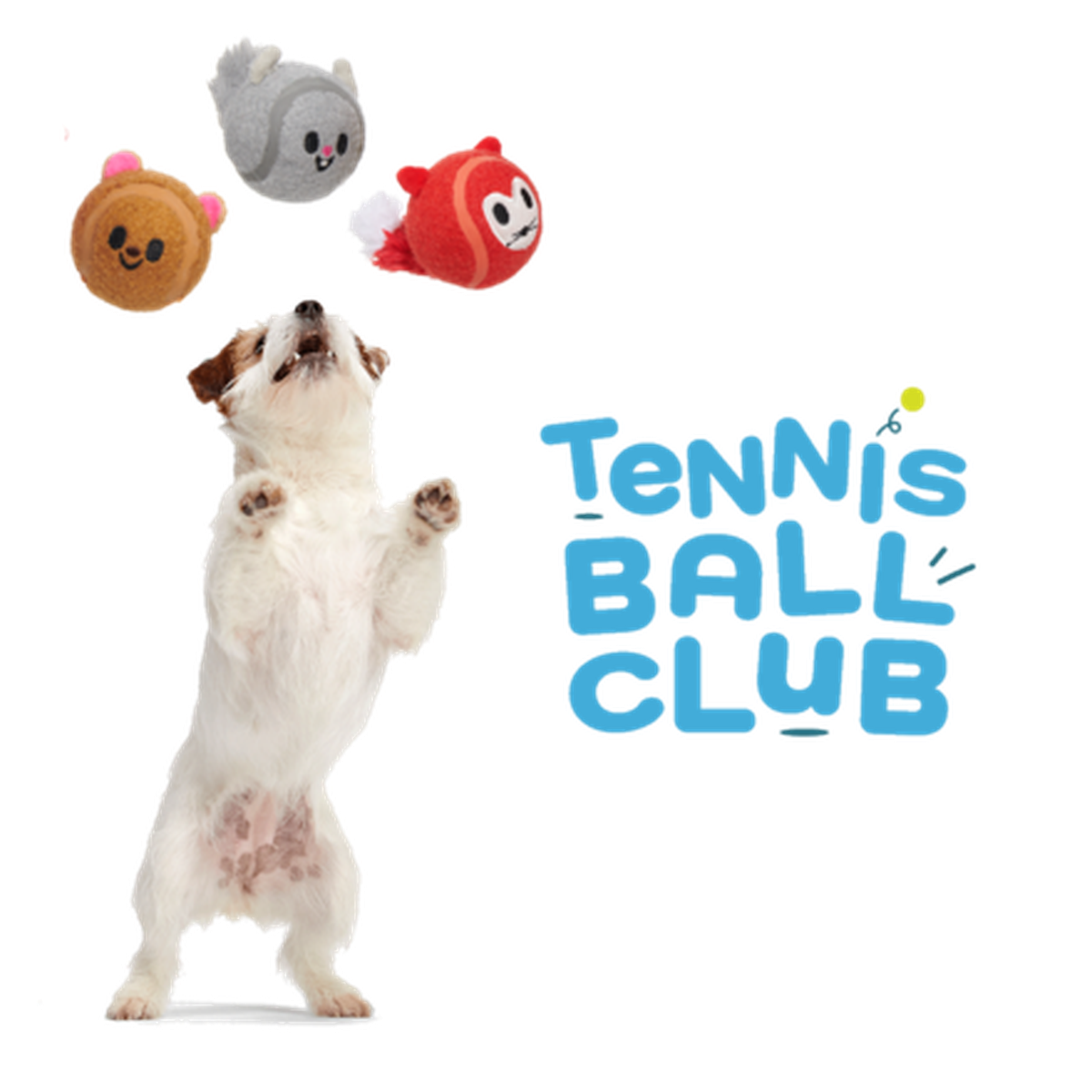 Tennis Ball Club