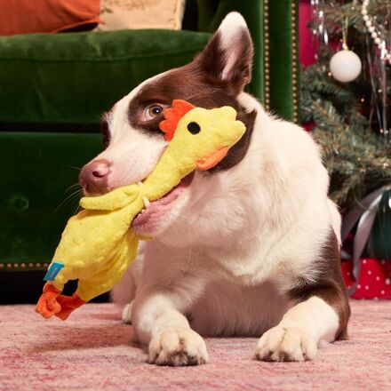 Fozziwig’s Rubber Chicken