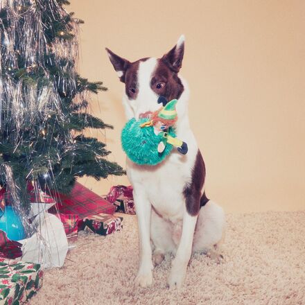 Tree Topper Buddy™