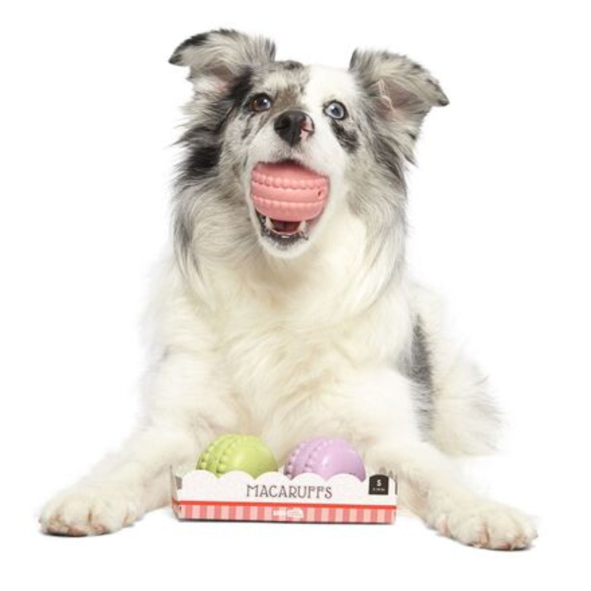 Macaruffs Durable Super Chewer Multi-Part Dog Toy