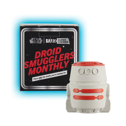 Star Wars™ Droid - R5-D4™