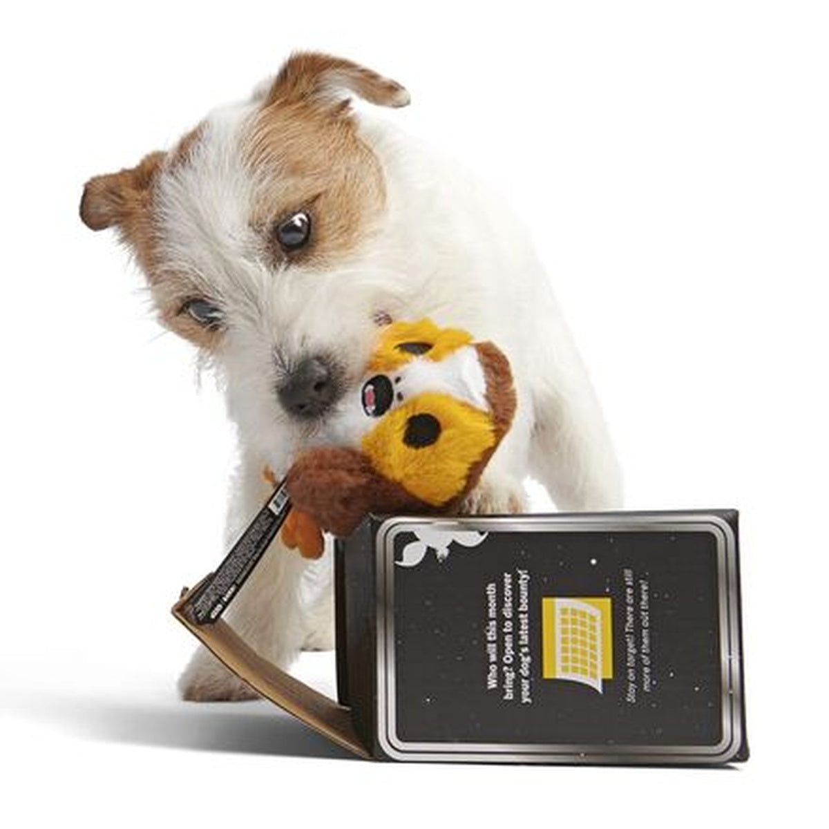 Star Wars™ Creature Club