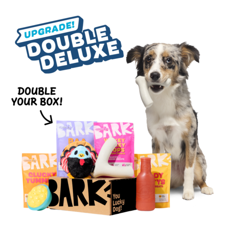 Super Chewer Double Deluxe Upgrade